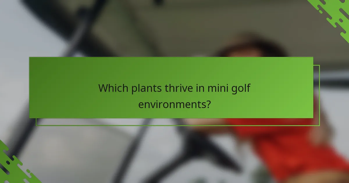 Which plants thrive in mini golf environments?